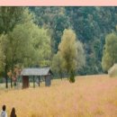 짱9모텔 이미지