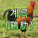계륵 이미지