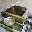 수목원생활온천 앞 이미지