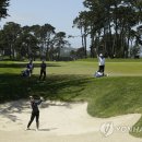 낸시투어(주) 이미지