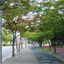 소향로 이미지