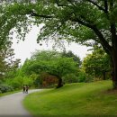 삼성골프장 이미지