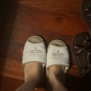 오케이라이스센터 | 혼자 방콕을 거닐은 여자가 있었슨...