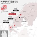 김일환 농장 이미지