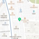 심쿵냥고양이분양