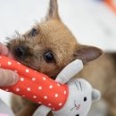 오픈주 하남스타필드점 이미지