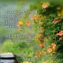 서재요양원 Daum카페