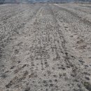 한주농장 이미지