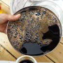 땅끝농장 이미지