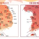엠디오토 이미지