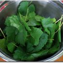 금지면 용전마을 이미지