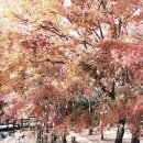 도덕산공원(야외음악당) 이미지