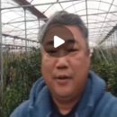 손병곤 농장 이미지