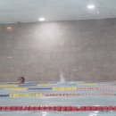 로키 스위밍 클럽 이미지