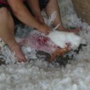 착한오리 이미지