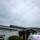 송백로-5 이미지