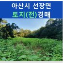 선장면 축구장 이미지