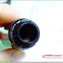 금강홍삼