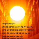 새로우니