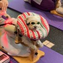 더바른동물병원 앞 | 강아지 재활 동물병원 도움될까? 침치료 레이저 수중재활 후기