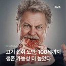 육식 노년 이미지