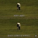 마이디어 | W15. 마이디어 청첩장 후기