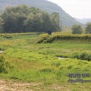 (주)정원레미콘 이미지