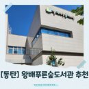 효곡동 그린숲 작은도서관 | [동탄]여름방학, 아이와 가볼만한 곳 추천! 왕배푸른숲도서관 체험 후기