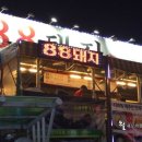 팔팔돼지(88돼지) 이미지
