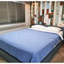 담양버치 이미지