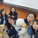 원광대학교 교육대학원 이미지