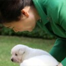 사석농장 이미지