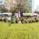 울산광역시시청 뉴스1