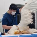 안상진 카카오 검색결과