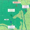 서귀포시 호근동 헬스케어타운 서측 원거리 임야 303평 외 1건 이미지