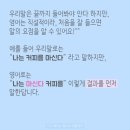 왕초보 생활영어 이미지