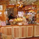 민들레울 이미지