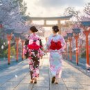 징검다리 이미지