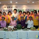 대한적십자 봉사회 연수지구 협의회 뉴시스