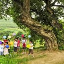 기계면 버드내 이미지