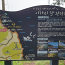 솔밭쉼터 이미지