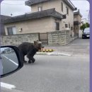 활보농장 이미지