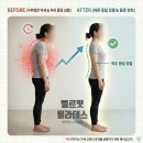 허리 디스크 필라테스 효과와 운동, 일산 필라테스는 벨르핏