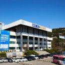 동탄파랑새부동산합동공인중개사사무소 | 법정 수수료 2배… 부동산 불법 중개 60건 적발