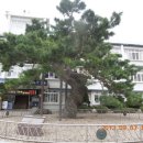 남당농장 | 초보산꾼 발길 닿는 곳 : 해월(海月)선생의 흔적을 찾아서1... (이천 산수유축제) (17년)