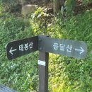 우담 이미지