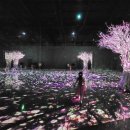 불사조 제5관 이미지