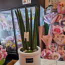 4424 | 대전 꽃바구니[로앤엘플라워카페] 꽃선물🌷 구매후기