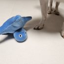 봄봄 | 봄봄매트 시공후기 (내 돈 내산)