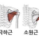 아유짐 이미지